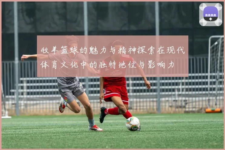 牧羊篮球的魅力与精神探索在现代体育文化中的独特地位与影响力