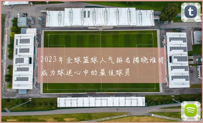 2023年全球篮球人气排名揭晓谁将成为球迷心中的最佳球员