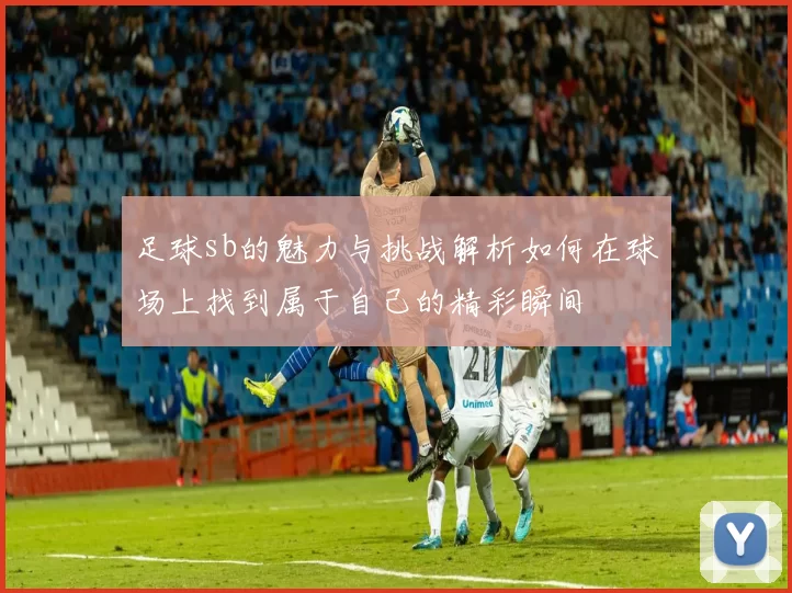 足球sb的魅力与挑战解析如何在球场上找到属于自己的精彩瞬间